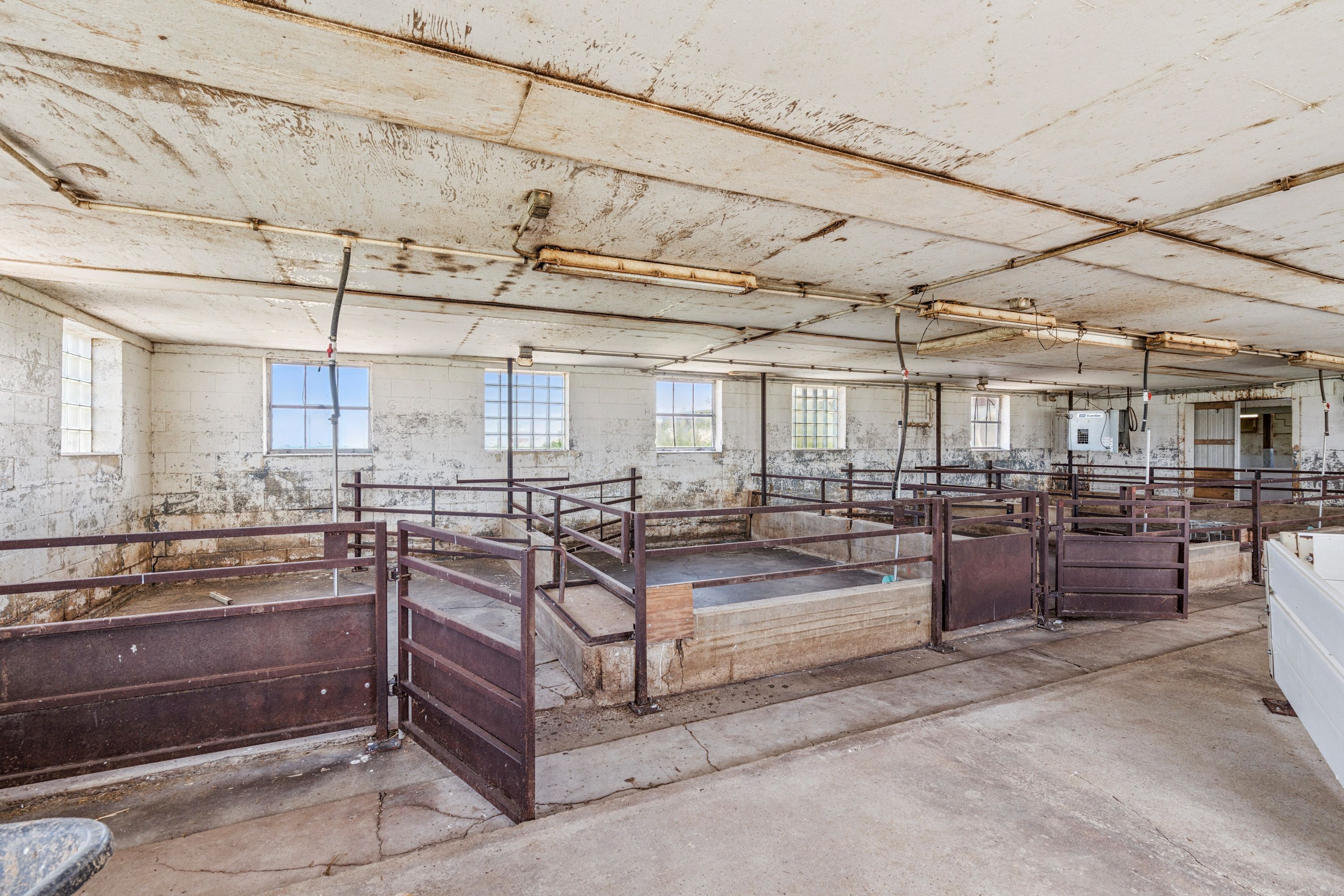 Listing Photo: 8707 & 8713 Riverside Road Farm (44)